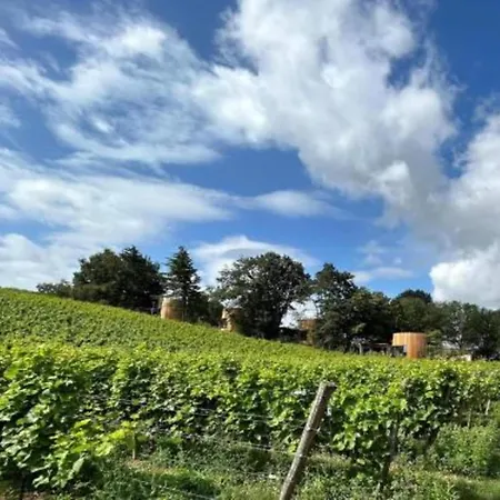 Stylish With Room, Cleaning Included * Durbuy